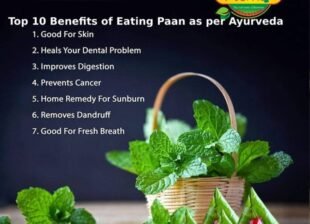 top 10 benefits of eating paan
