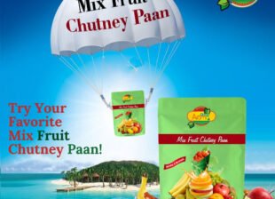 Paan varieties that are best for Post-Dinner Cravings Best paan franchise near me Paan shop franchise in pune