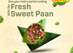 World number 1 Paan Franchise model